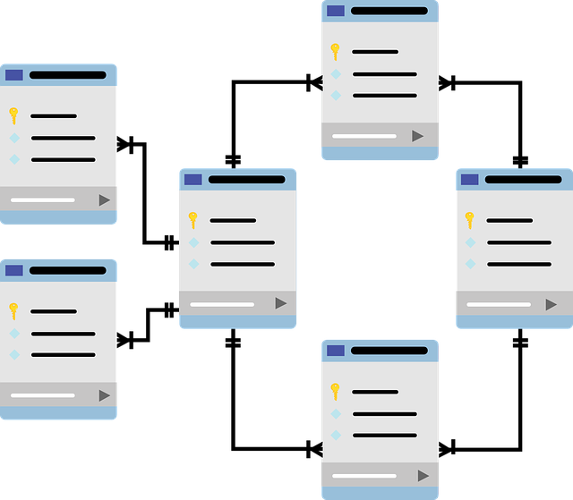 Wix Studio Custom Schema Markup